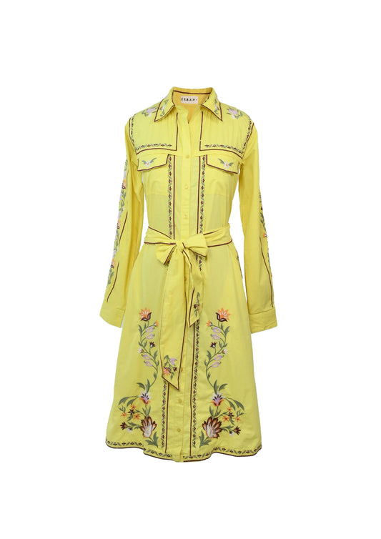 Chameleon dress-yellow - TBFO